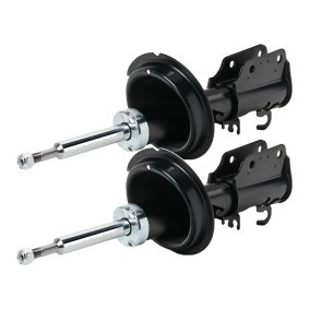 Compre Amortecedor da RIDEX 854S18535 a um preço baixo por 57,47&nbsp;&euro;