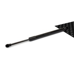 RIDEX 219G0105 Maletero BMW