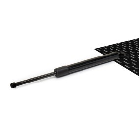 RIDEX 219G0033 Maletero BMW