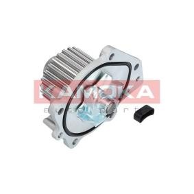 KAMOKA T0174 Pompe à eau ROVER 200 (RF)
