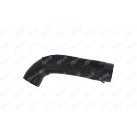 IBRAS 23015 Slanger og ledninger HYUNDAI H-1 Kassevogn