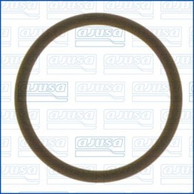 AJUSA 16080600 Joint de liquide de refroidissement DODGE CARAVAN