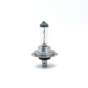EINPARTS EPB55 Lampadine abbaglianti NISSAN Qashqai 2 (J11, J11_)