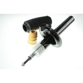 Acquista Ammortizzatore da AUTOMEGA 110022210 a buon mercato per soli 93,67&nbsp;&euro;