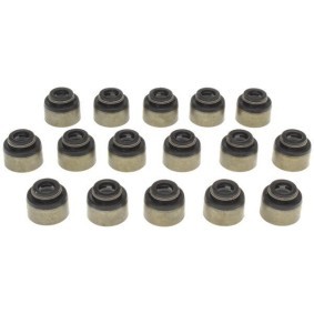 Comprar Juego de juntas, vástago de válvula de MAHLE SS45870 a bajo precio de 89,11&nbsp;&euro;