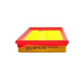 Kjøp Luftfilter av BSG BSG 30-135-024 til den lave prisen 614,53&nbsp;kr
