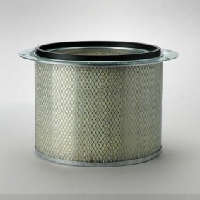 Compre Filtro de ar secundário da DONALDSON P523048 a um preço baixo por 166,88&nbsp;&euro;