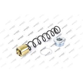 Acquista Kit parti di montaggio, Carter del termostato da VADEN 0106 060 a buon mercato per soli 107,41&nbsp;&euro;