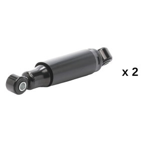 Compre Amortecedor da RIDEX 854S20959 a um preço baixo por 28,49&nbsp;&euro;