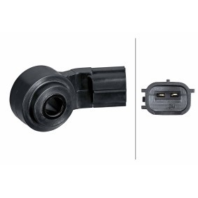 HELLA 6PG 013 114-541 Sensor de detonação LEXUS SC Cabrio (UZZ40_)