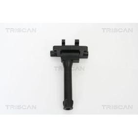 Acquista Bobina d'accensione da TRISCAN 8860 17009 a buon mercato per soli 73,00&nbsp;&euro;