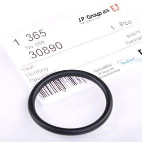 Dichtung, Kühlmittelflansch von JP GROUP 1119606300