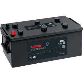 Køb Starterbatteri af TUDOR TG2154 til den lave pris 5.608,63&nbsp;kr.