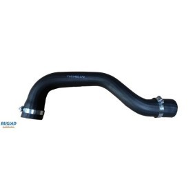 BUGIAD 82170 Tubo do intercooler JEEP