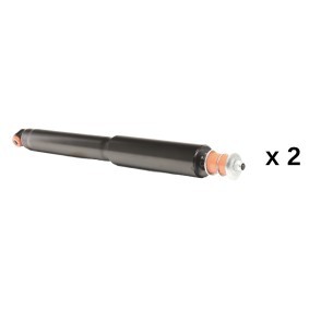 Compre Amortecedor da RIDEX 854S20891 a um preço baixo por 31,82&nbsp;&euro;