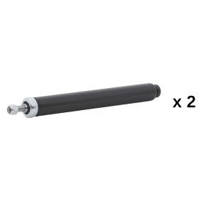 Compre Amortecedor da RIDEX 854S20935 a um preço baixo por 40,51&nbsp;&euro;