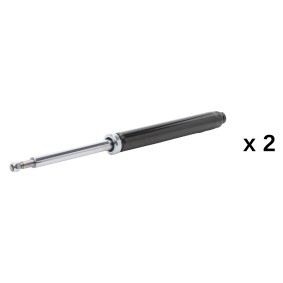 Compre Amortecedor da RIDEX 854S21191 a um preço baixo por 60,29&nbsp;&euro;