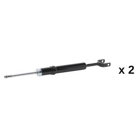 Compre Amortecedor da RIDEX 854S21311 a um preço baixo por 42,74&nbsp;&euro;