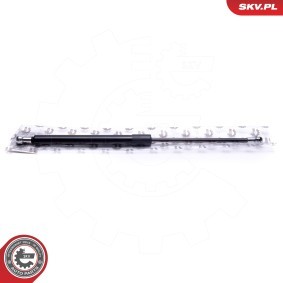 ESEN SKV 52SKV605 Heckklappendämpfer SUBARU JUSTY 4
