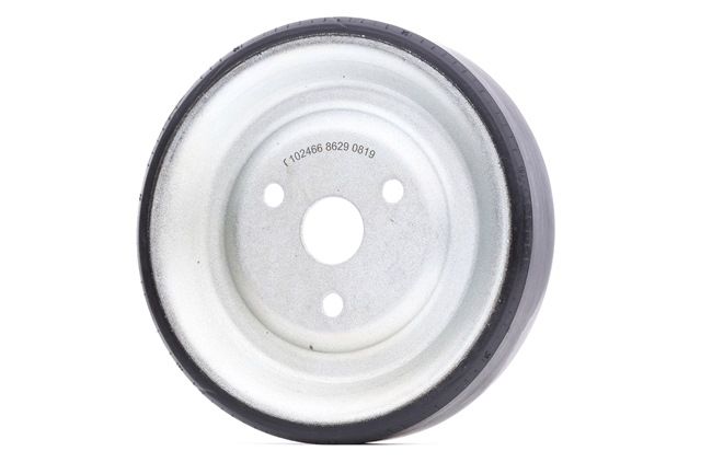 Pompa acqua Febi Bilstein 38329 PULEGGIA
