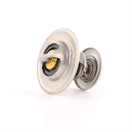 Compre Termóstato, líquido de refrigeração da WAHLER a um preço baixo por 10,76 €