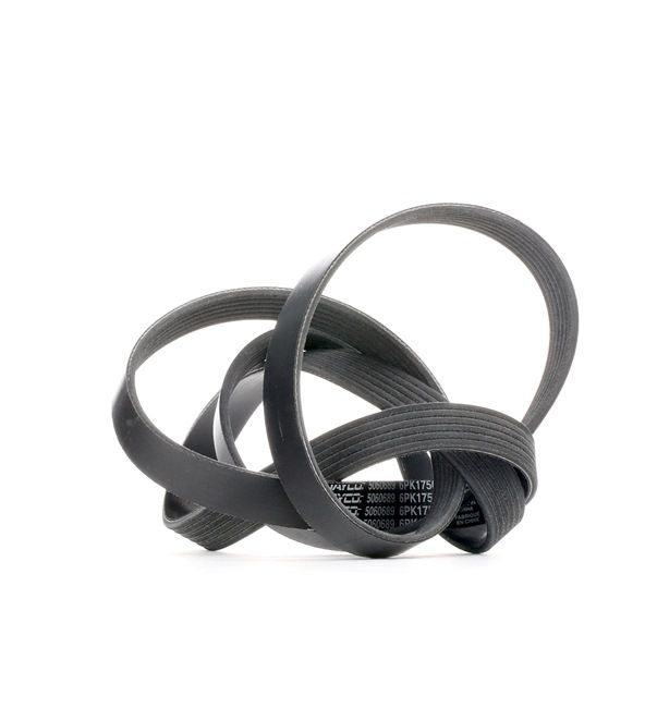 Compre Correia trapezoidal estriada da DAYCO a um preço baixo por 12,78&nbsp;&euro;