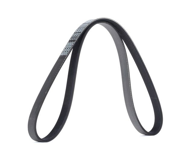 Compre Correia trapezoidal estriada da DAYCO a um preço baixo por 7,86&nbsp;&euro;