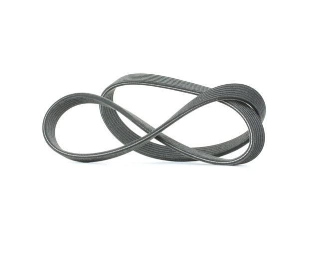 Compre Correia trapezoidal estriada da DAYCO a um preço baixo por 14,94&nbsp;&euro;