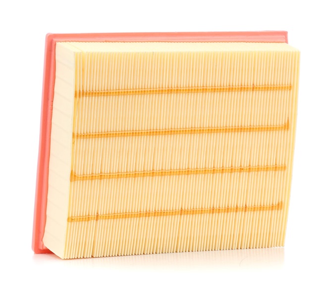 Compre RIDEX Filtro de ar Art.: 8A0002 online