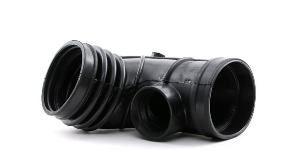 Febi 100394 tubo di aspirazione filtro aria per BMW